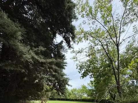 El Remanso