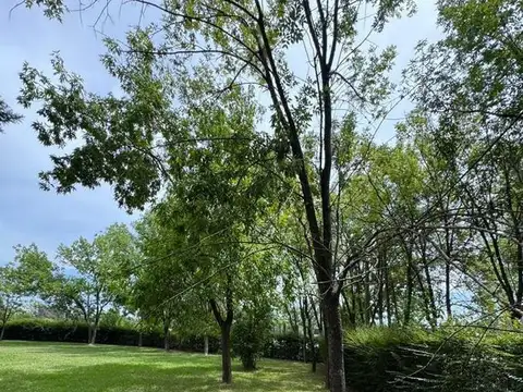 El Remanso