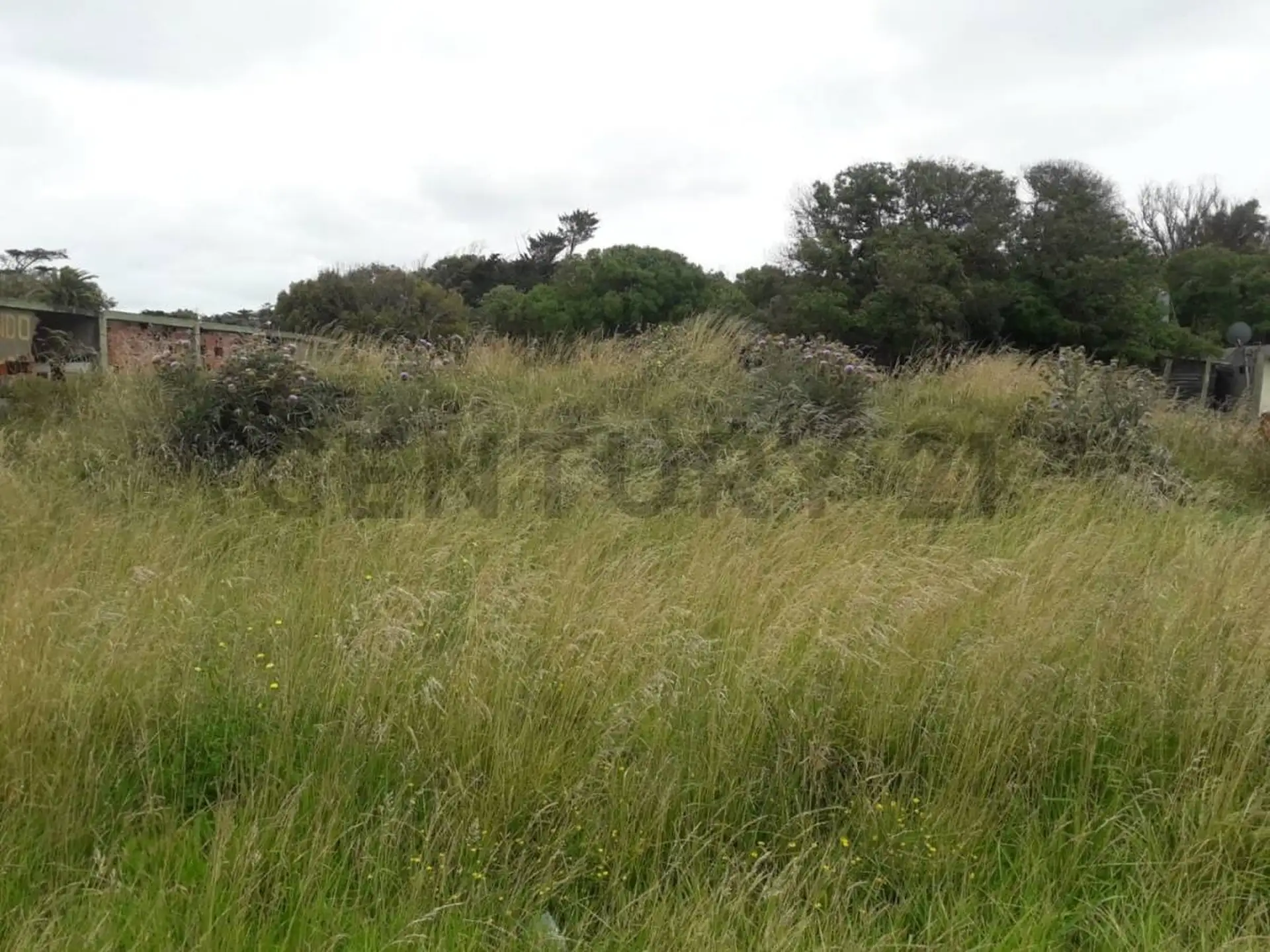 VENDO TERRENO FRENTE AL MAR EN FELIX U CAMET