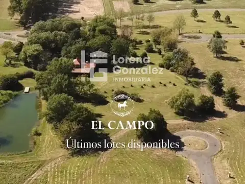 EL CAMPO - CARDALES - CAMPANA