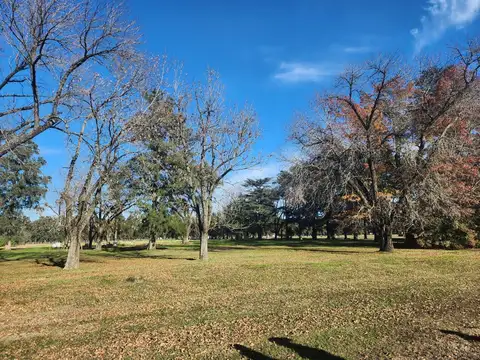 Terreno en Venta de 883,0 m2