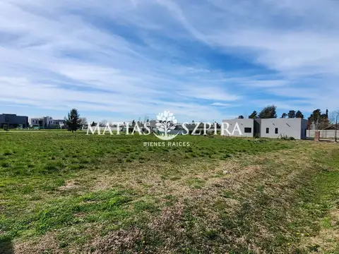 Carola Lorenzini 4600