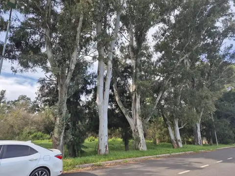 Local en  pleno Foco comercial de Del Viso eje Panamericana