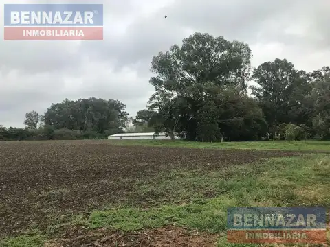 6 Hectareas Camino rural Santa Lucia 1 km del Pueblo