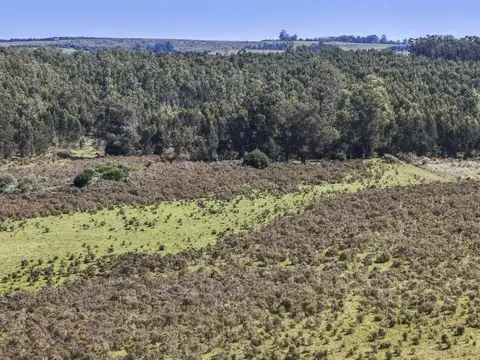 CHACRA DE 22 HECTAREAS CON FRENTE A R-104 MANANTIALES