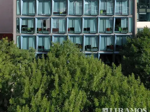 Oficina en Alquiler con 4 cocheras