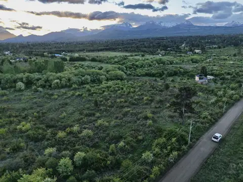 Callejón Palma - Parcela 32