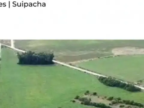 VENTA CAMPO MIXTO EN VENTA 16 HAS - SUIPACHA
