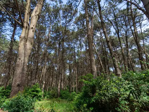 Terreno en Venta de 1746,0 m2