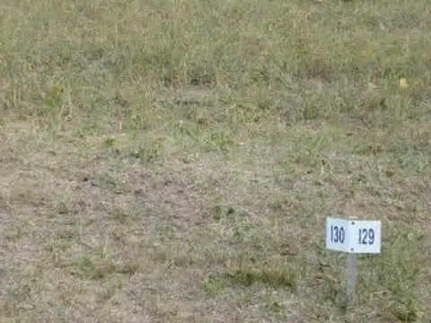 Terreno Venta