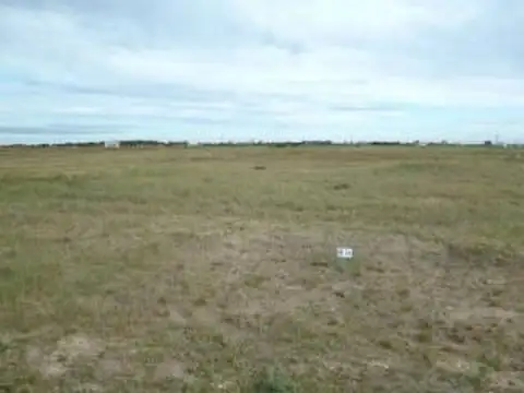 Ruta 11