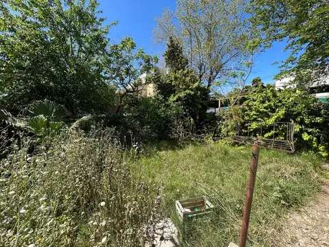 Sarandi 671