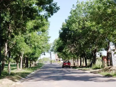 Terreno en Venta en Adrogue, USD 220.000