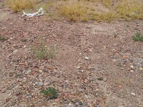 SANTA ISABEL, C