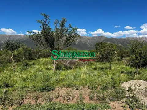 Terreno en venta san luis.