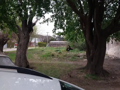 Combatientes de Malvinas