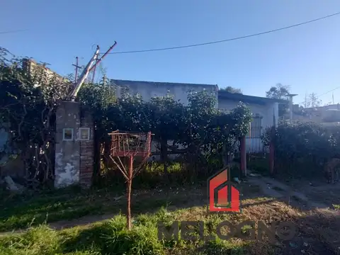 Darwin  al 1200