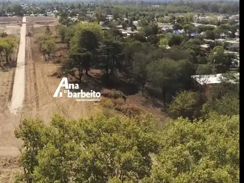 Barrio Parque las Clemencias, Pilarica. 100