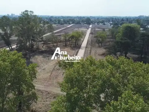 Barrio Parque las Clemencias, Pilarica. 100
