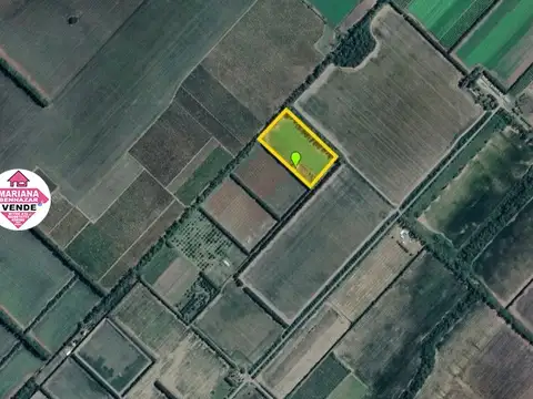 Chacra de 5 Hectáreas en Venta - San Pedro