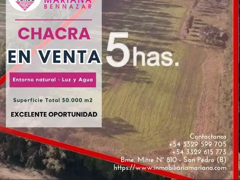 Chacra de 5 Hectáreas en Venta - San Pedro