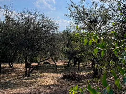 Venta lote 1000 mts en villa el rosal agua de oro