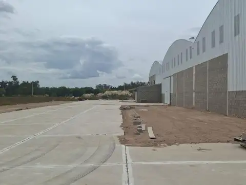 Los Lineros al 100