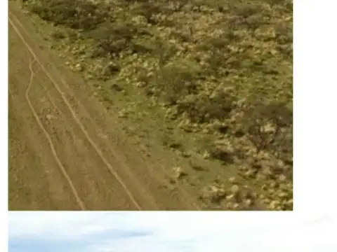 2500 Has MIXTAS, Gral.ACHA LA PAMPA