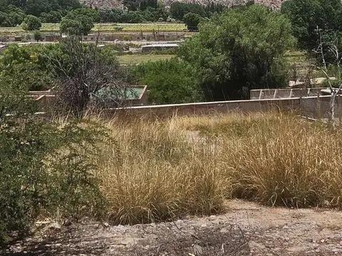 Terreno en Venta de 625,0 m2