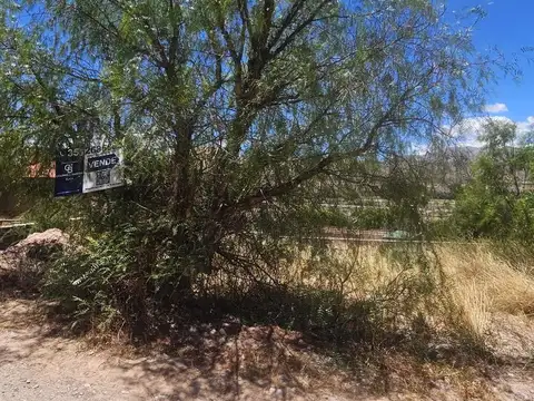 Terreno en Venta 12  mts Frente