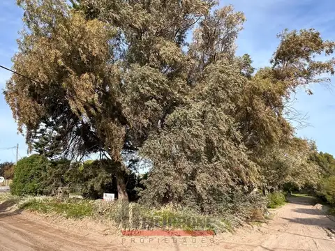 Terreno en Venta en Balneario Sauce Grande, USD 29.000