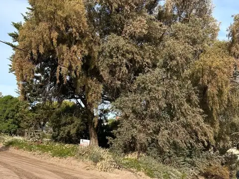 Terreno en Venta de 11111,0 m2