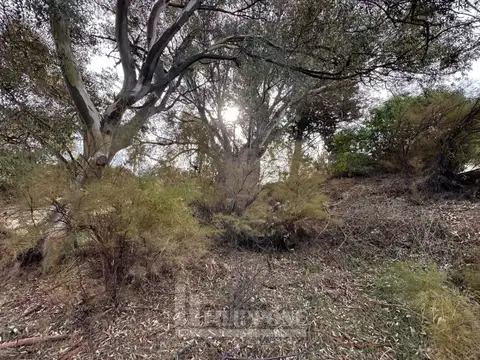 Rodriguez peña 100