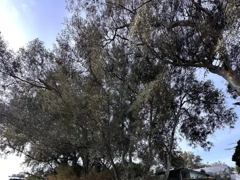 Rodriguez peña 100