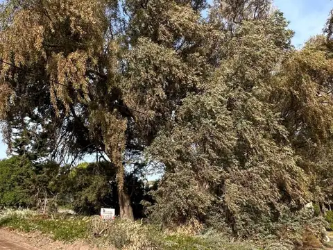 Terreno en venta en Balneario Sauce Grande - Monte Hermoso