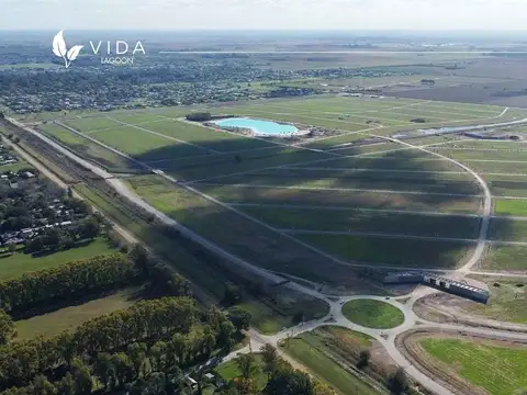 Vida lagoon - Jose Hernández y Tomas de la torre. Lote 442