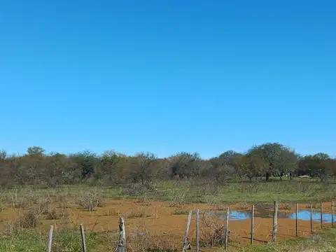 Ruta Provincial 54 100