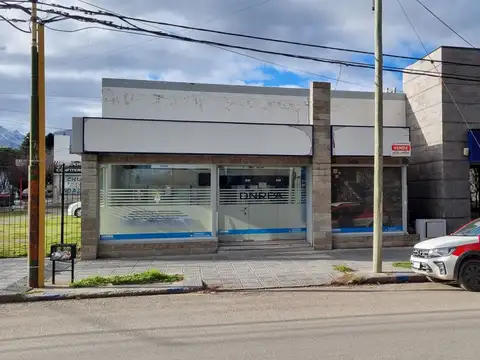 Rentabilidad siempre