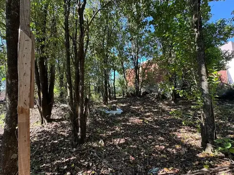 Terreno en Venta de 300,0 m2