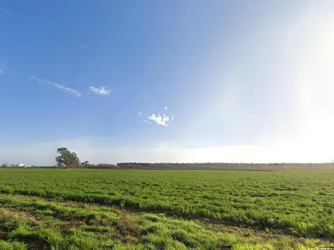 Campo en Piñero
