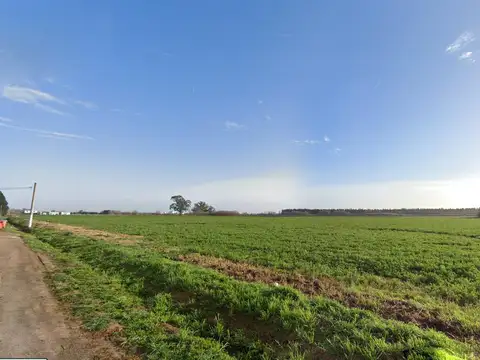Venta Campo en Piñero