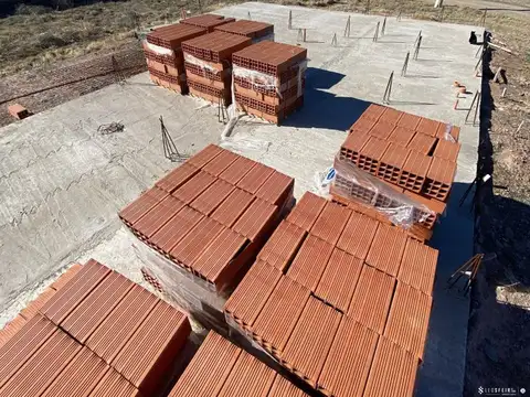 Elena Garro al 500
