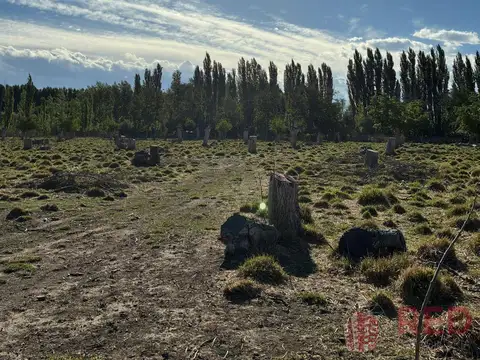 VENDO CHACRA  EN CERVANTES