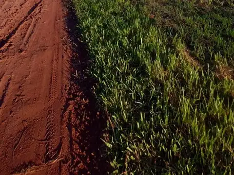 Terreno en Venta de 300,0 m2