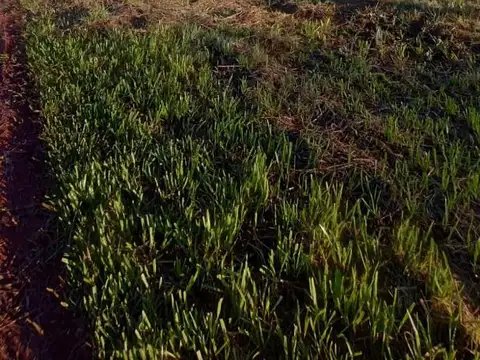 EXCELENTE LOTE EN VENTA, EN ENTORNO NATURAL Y TRANQUILO