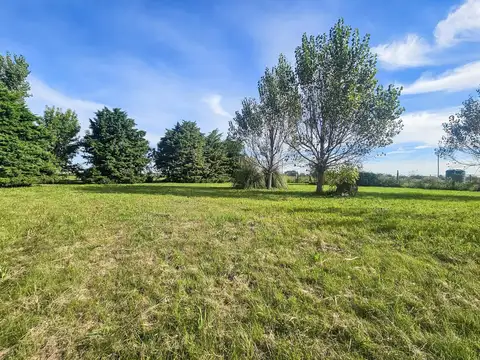 Venta Lotes 1440m2 - Santa Susana. Alvear