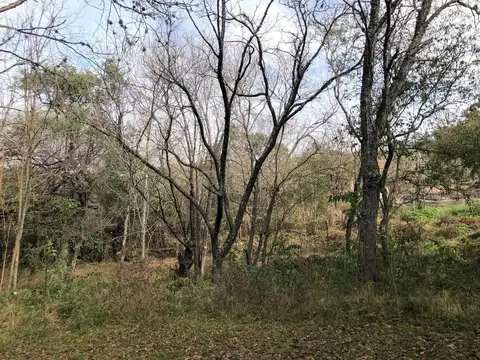Lote con excelente entorno natural- Tanti con costa al Rio.-