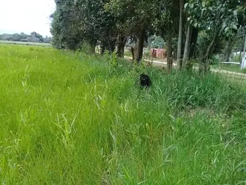 Terreno en Venta de 2500,0 m2