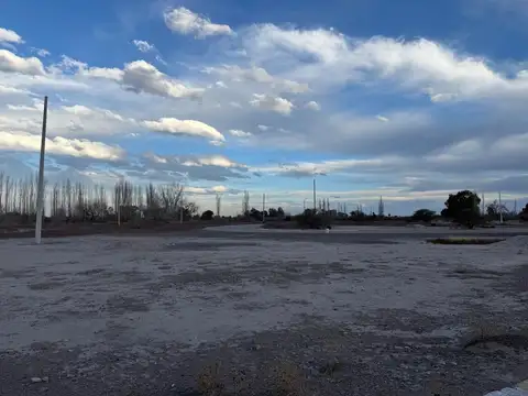 Avenida Nazario Benavidez (ESTE) 4500