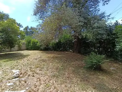 Terreno en Venta de 400,0 m2